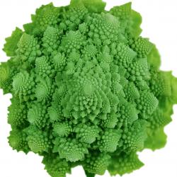 Romanesco