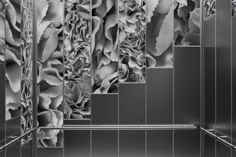 Elevator Interior - Carnations Greyscale