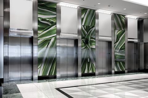 Elevator Lobby Walls with Dracena Fragans interlayers