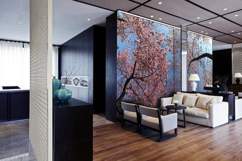 Feature wall in ViviSpectra Zoom glass with Cherry Tree Canopy interlayer
