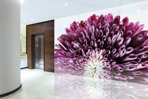 Feature wall in ViviSpectra Zoom glass with Spider Mum interlayer